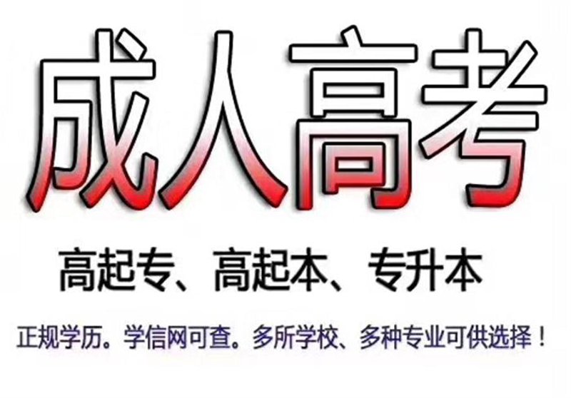 如何高效进行职业规划?