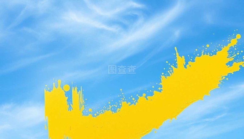 实战攻略:如何高效进行职业规划